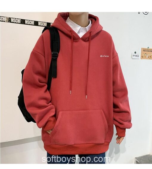 Softboy Casual Hooded Hoodie (Many Colors)