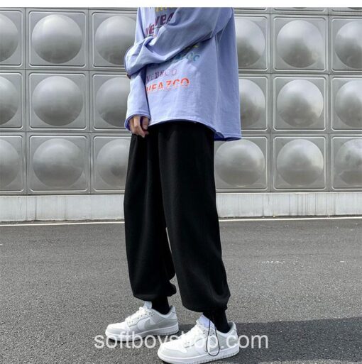 Softboy Japanese Streetwear Solid Baggy Jogger Pant