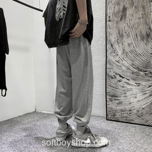 Softboy Streetwear Casual Baggy oggers Pants 3